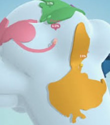 Dive into Paper.io 3D - Addictive 3D Game